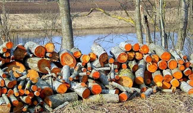 Заготовка ольховых дров