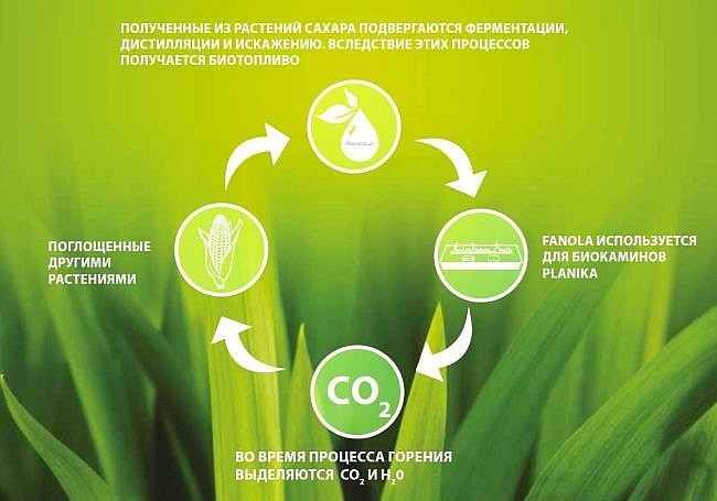 Принцип работы биотоплива